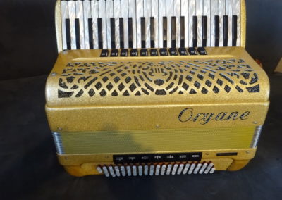 Accordéon Piano Organe Professionnal Cassotto Musette