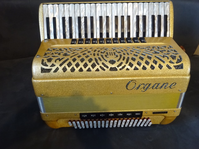 Accordéon Piano Organe Professionnal Cassotto Musette
