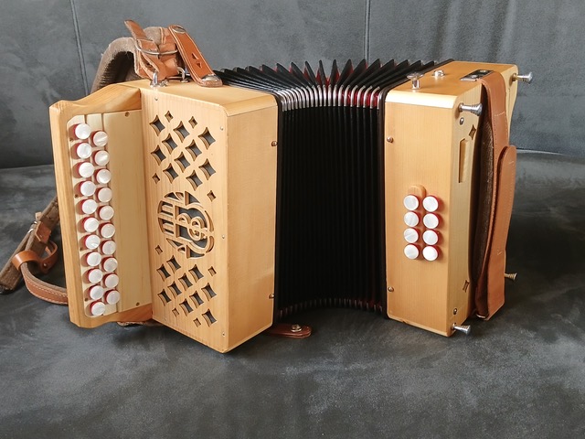 Accordéon diatonique d’étude